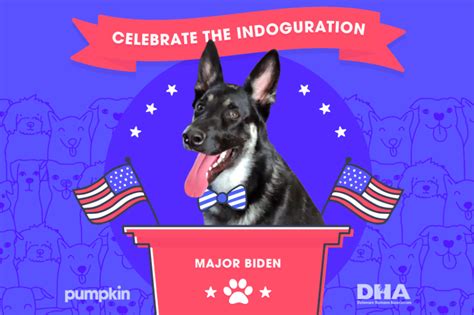 Pumpkin is a new company, offering pet insurance for dogs & cats, plus limited pumpkin is a newcomer, entering the pet insurance world in 2020. Inside Pumpkin Pet Insurance's 'indoguration' event for Major Biden | PR Week