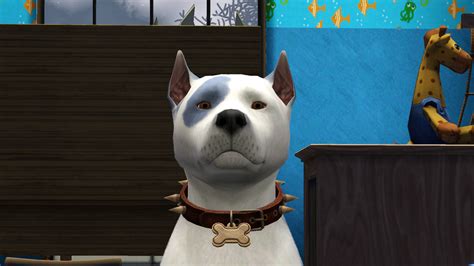 Mod The Sims Blue And White American Pit Bull