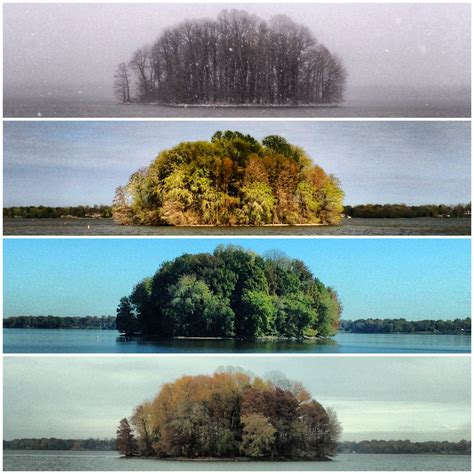 Four Seasons Of Natures Beauty