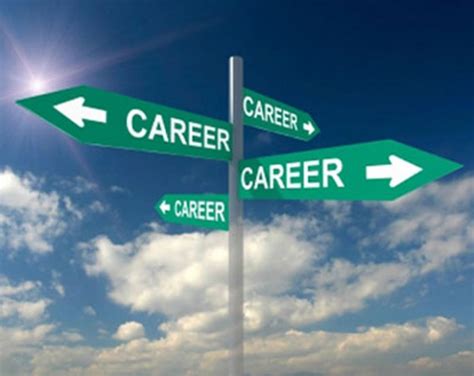 Career Choice Iresearchnet