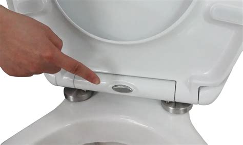 Toilet Seat Lid You Can Sit On Toilet Tools