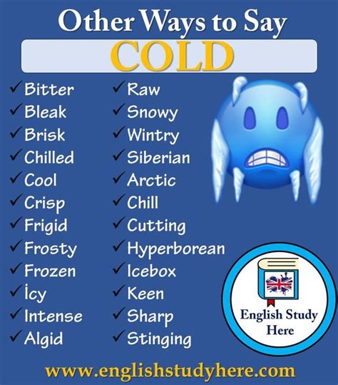Other Ways To Say Cold With Images Learn English Vocabulary