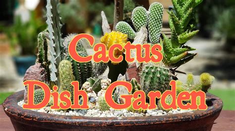 Diy Cactus Dish Garden Cactus And Succulents Youtube