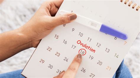 debunking common ovulation myths