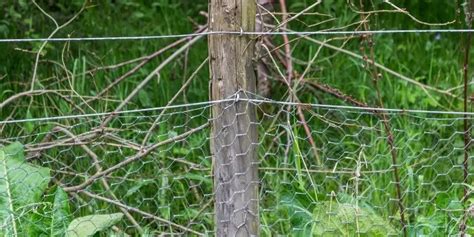 How To Securely Attach Chicken Wire To Wood Fence