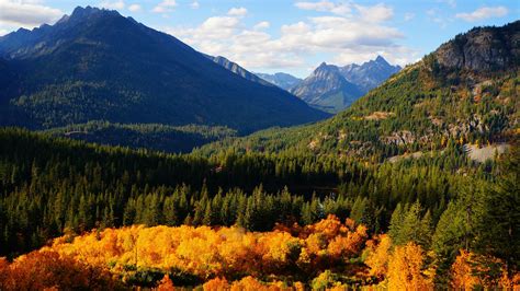 Pacific Northwest Wallpapermountainous Landformsmountainlarix