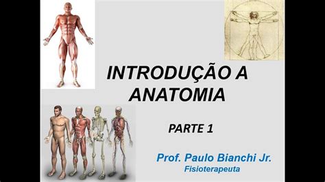 Introdução A Anatomia Humana Parte 1 Youtube