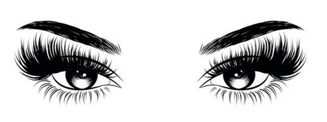 vector illustration of woman s sexy luxurious eye with perfectly shaped eyebrows and full