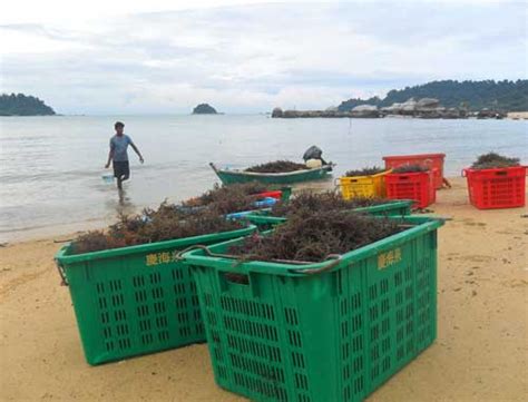2020 top things to do in pangkor. Pasir Bogak, the biggest swimming pool in the world