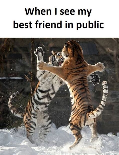 Best Friend Memes For National Best Friends Day 2017 That Will Have You