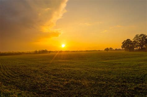 Grass Field And Golden Hour Time Hd Wallpaper Wallpaper Flare