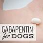 Gabapentin For Cats Dosage Chart Mg