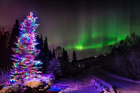 Indahnya Aurora Borealis Di Anchorage Salah Satu Tempat Terdingin Di Dunia
