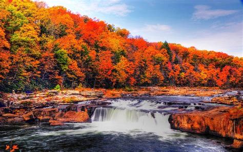 The Fall Foliage At These 10 State Parks In Pennsylvania Is Stunningly