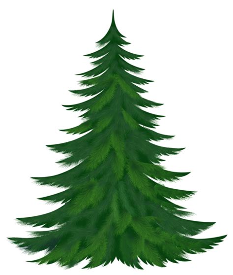 Transparent Pine Tree PNG Picture | Christmas tree art, Tree clipart, Pine tree art