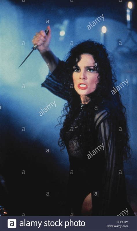 Pictures Of Julie Strain Picture 322411 Pictures Of Celebrities