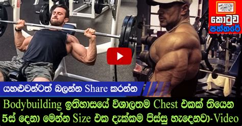 Top 5 Biggest Chest Ever In Bodybuilding History Kotuwa Video Cyber