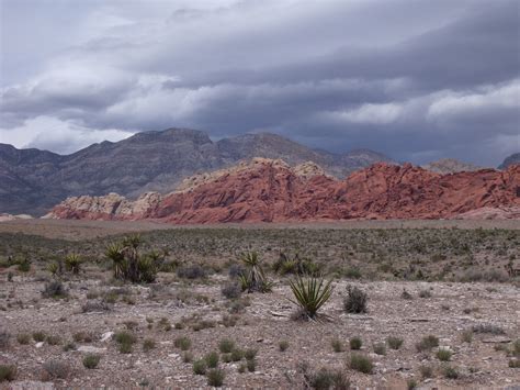 Fotos Gratis Paisaje Desierto Montaña Pradera Colina Desierto