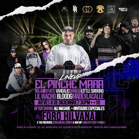 El Pinche Mara Dar Concierto En Cdmx Playlist Magazine