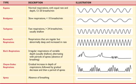 Oxygenation N5 Flashcards Quizlet