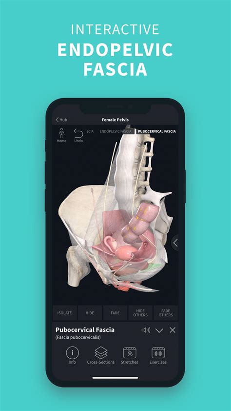 Complete Anatomy ‘21 3d Human Body Atlas 630 Apk Download