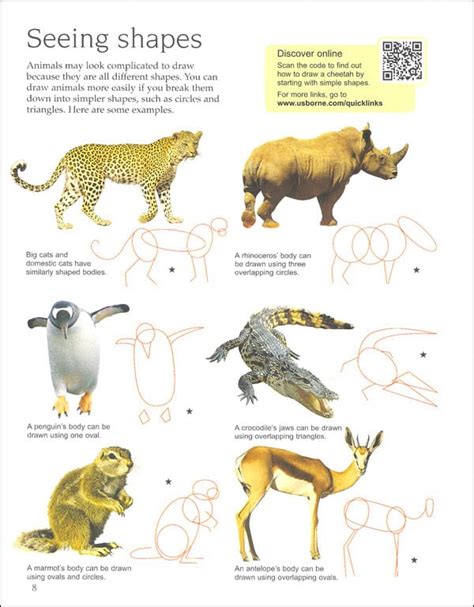 Drawing Animals - A2Z Science & Learning Toy Store