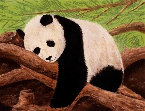 Panda Painting By Anastasiya Malakhova Fine Art America