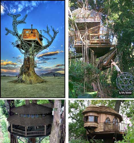 Look Up 15 More Amazing Tree Houses From Around The World Urbanist