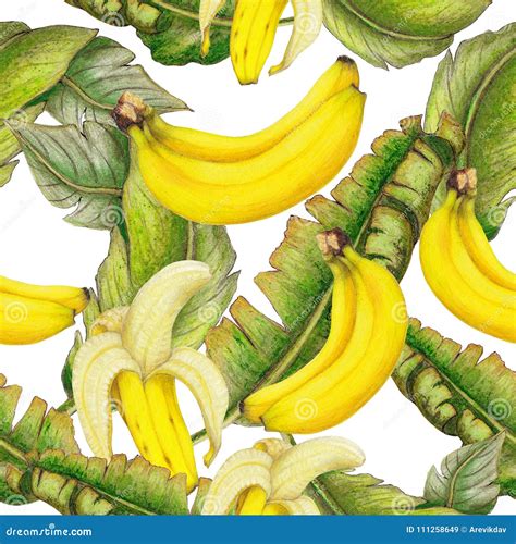 Seamless Pattern Of Banana Fruits Stock Illustration Illustration Of