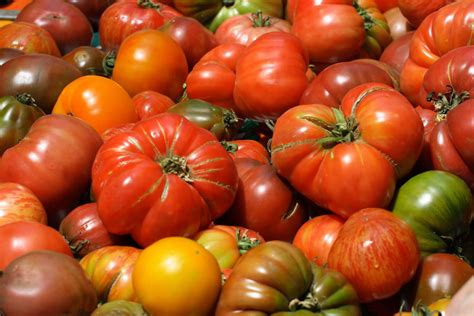 Homegrown Tomatoes Taste Better