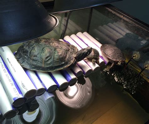 The 3 step diy turtle dock (measure, cut, tie)how to make a turtle basking area in 3 simple steps. PVC Turtle Dock : 6 Steps - Instructables