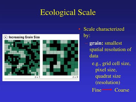 Ppt Emergence Of Landscape Ecology Powerpoint Presentation Free