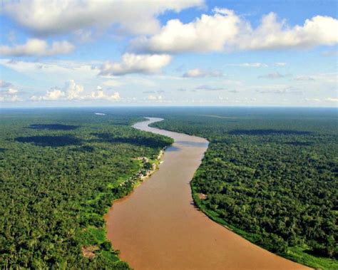 Save big with greyhound cheap bus tickets from ! Perú: pantanos del río Tigre son los almacenes más grandes de carbono de la cuenca amazónica ...