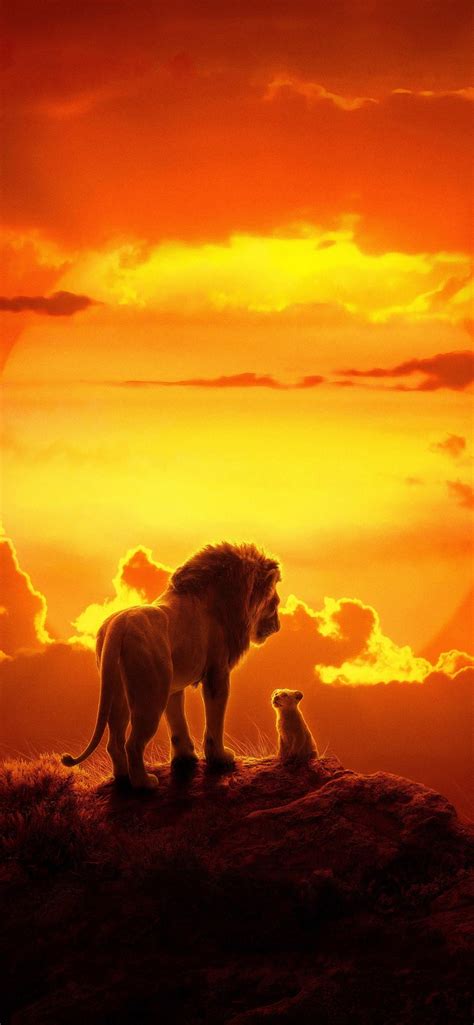 Lion King Hd Iphone Wallpapers Wallpaper Cave