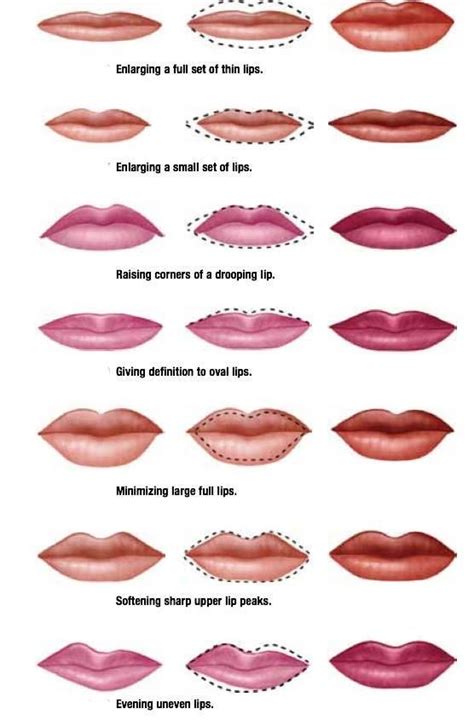 Chart Help For Your Lip How To Line Color And What To Use Lip Permanent Makeup Permanent