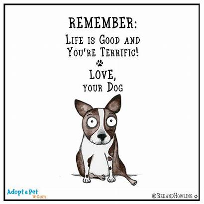 Dog Cartoon Quotes Dogs Animal Howling Pet