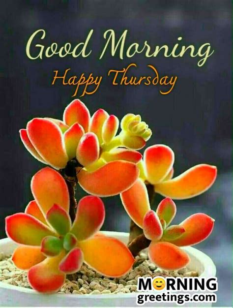 Good Morning Happy Thursday Images Morning Greetings Morning Quotes And Wishes Images
