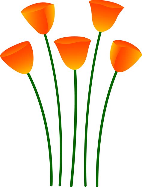 Free Orange Flower Clipart Download Free Orange Flower Clipart Png