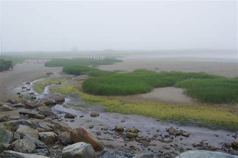 Eastern Passage Fog