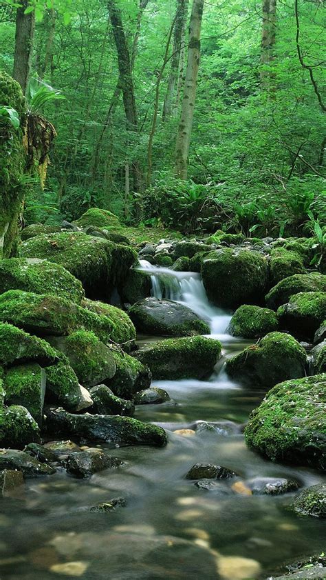 Download Wallpaper 800x1420 Waterfall Stones Flow Moss Iphone Se5s