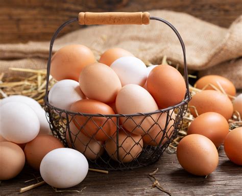 Telur Ayam Negeri Yang Bagus Robert Paterson