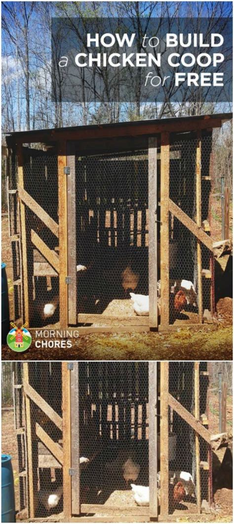 Free Diy Chicken Coop Plans You Can Build This Weekend Diy Crafts
