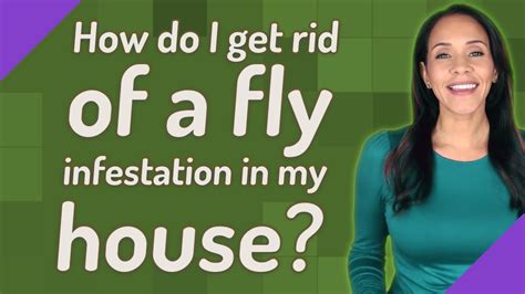 How Do I Get Rid Of A Fly Infestation In My House Youtube