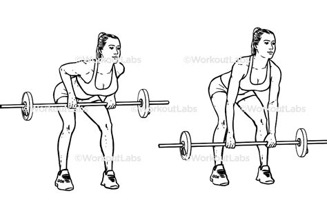 Bent Over Barbell Rows Workoutlabs Exercise Guide