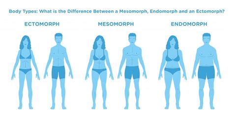 Who Are The Famous Endomorphs Common Knowledge Ck Society