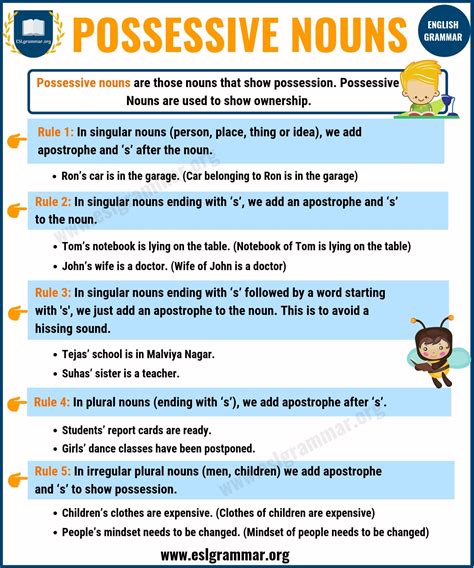 Possessive Nouns Definition Rules And Useful Examples Esl Grammar