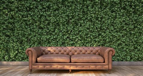 Guide To Artificial Green Walls And Where To Get Them