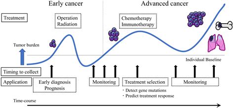 Extracellular Vesicles As A Promising Biomarker Resource In Liquid