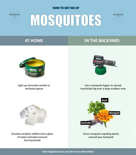 How To Get Rid Of Mosquitoes In The House With Natural Home Remedies