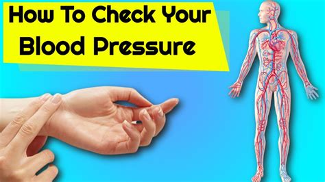 How To Check Blood Pressure Without Equipment In Just 1 Minute Youtube